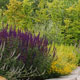 Lebendiger Garten ::: Achim Schmidt ::: Dommershausen / Hunsrück und Nierstein / Rheinhessen