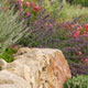 Lebendiger Garten ::: Achim Schmidt ::: Dommershausen / Hunsrück und Nierstein / Rheinhessen